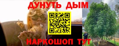 a pvp Лесосибирск