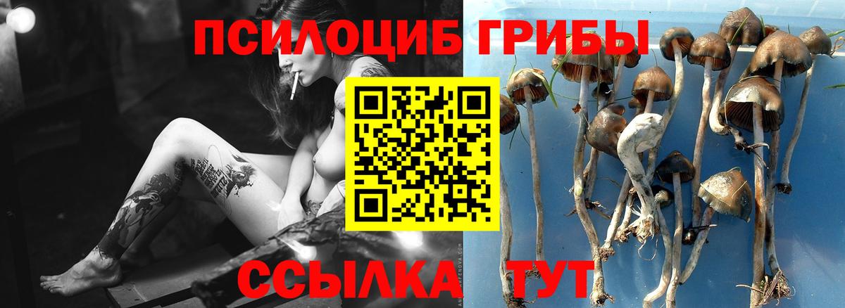 Псилоцибиновые грибы мухоморы Ярославль